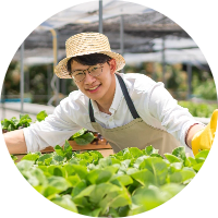 野菜と生産者